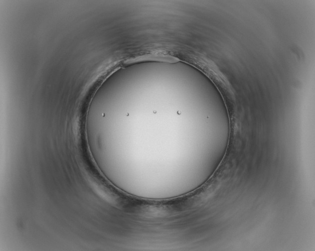 X0000113010250200909101823