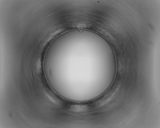 X0000113010251200909101823