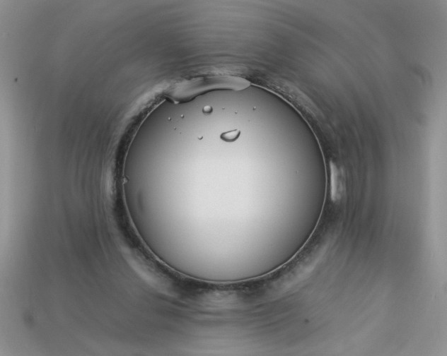 X0000113010252200909101823