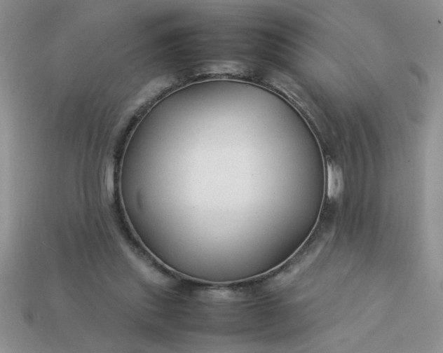 X0000113010253200909101823