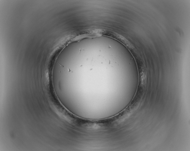 X0000113010254200909101823