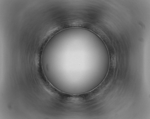 X0000113010255200909101823