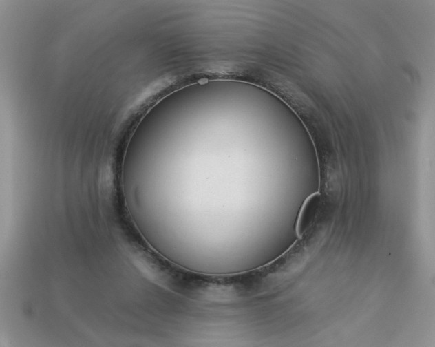 X0000113010256200909101823