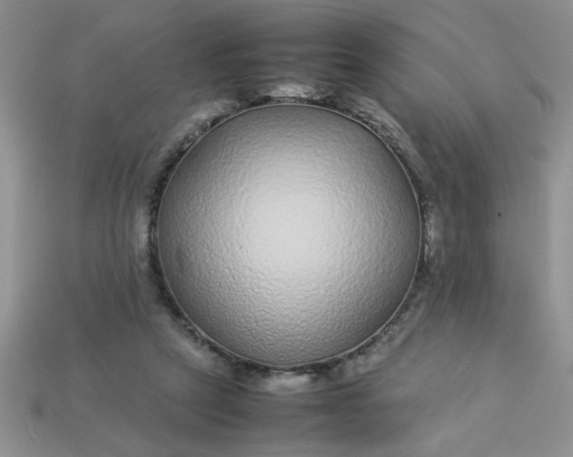 X0000113010257200909101823