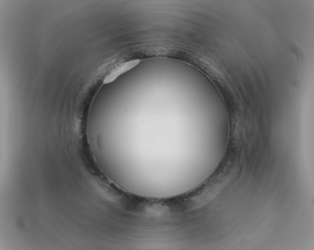 X0000113010258200909101823