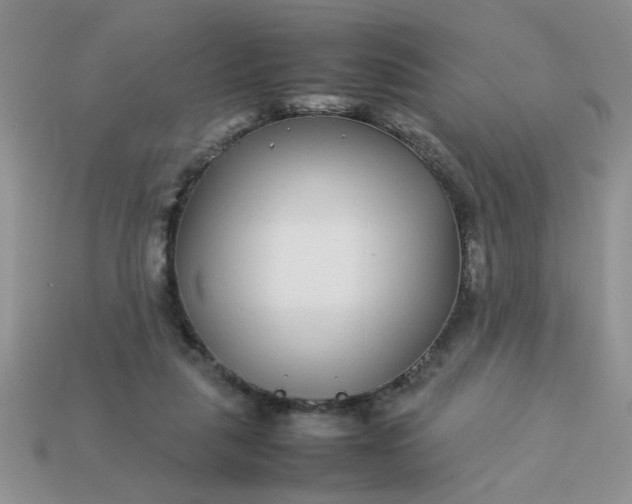 X0000113010259200909101823