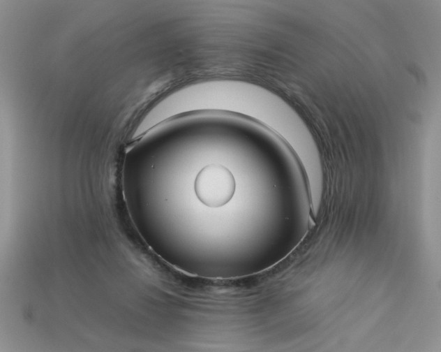 X0000113010260200909101823