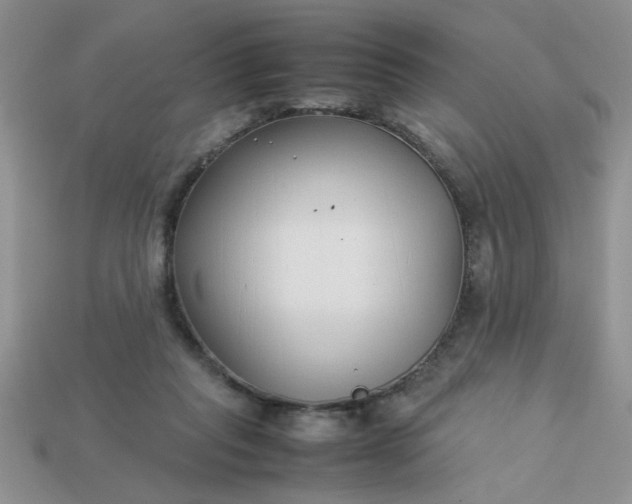 X0000113010261200909101823