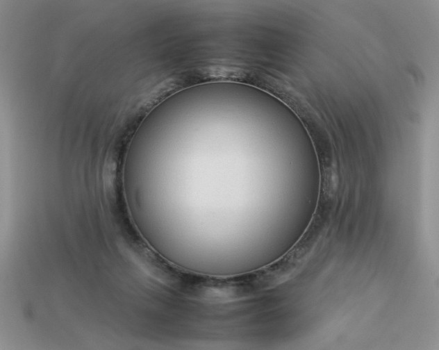 X0000113010263200909101823