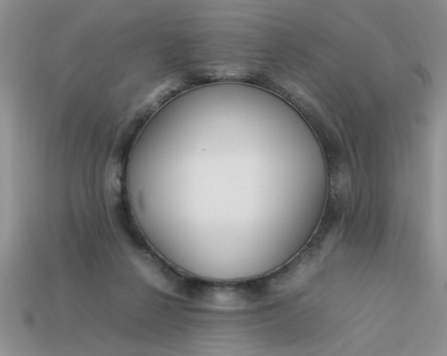 X0000113010264200909101823