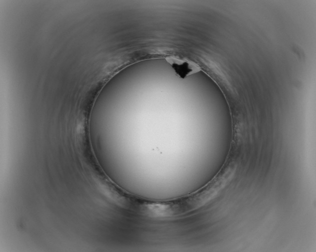 X0000113010265200909101823