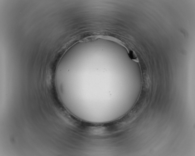 X0000113010266200909101823