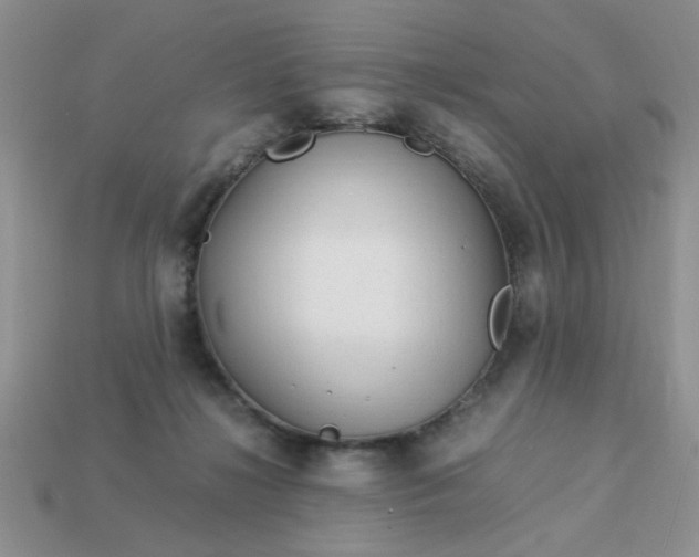 X0000113010268200909101823