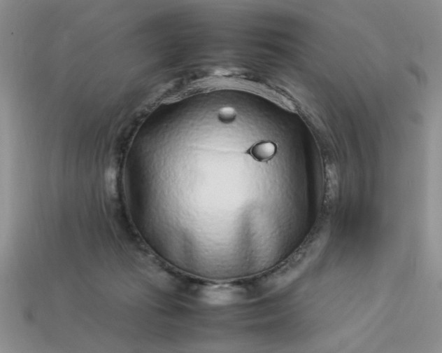 X0000113010269200909101823