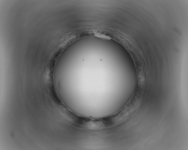 X0000113010270200909101823