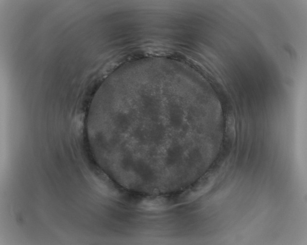 X0000113010271200909101823