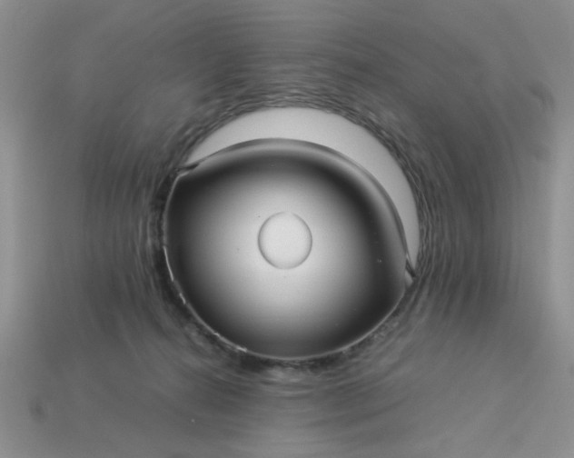 X0000113010272200909101823