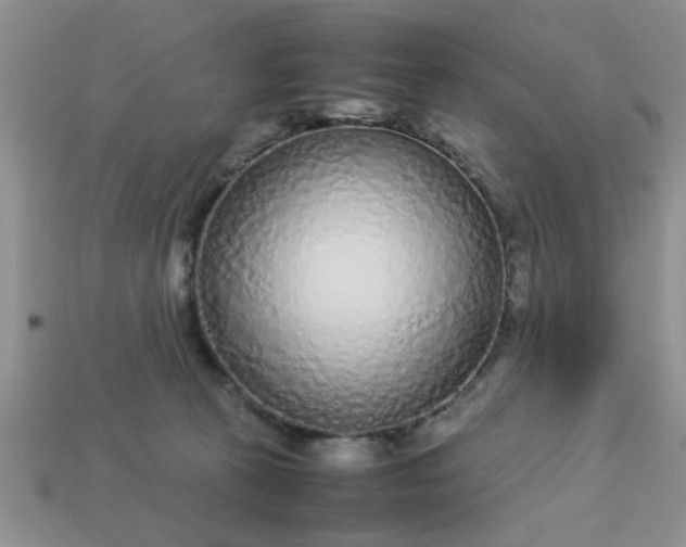 X0000113010273200909101823