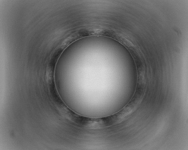 X0000113010274200909101823