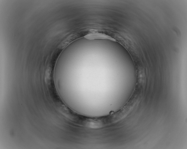 X0000113010275200909101823