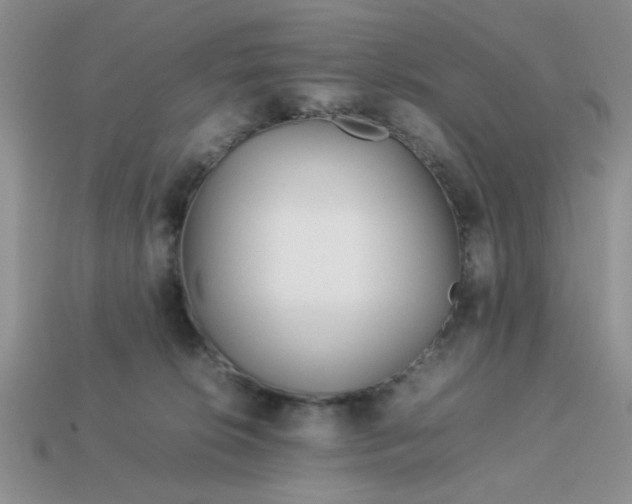 X0000113010276200909101823