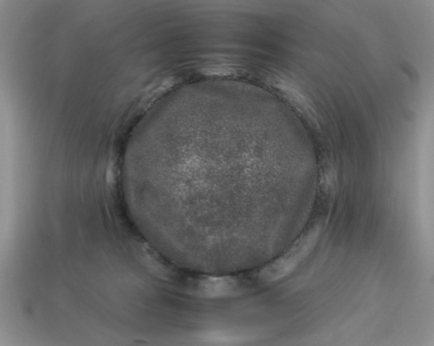 X0000113010277200909101823