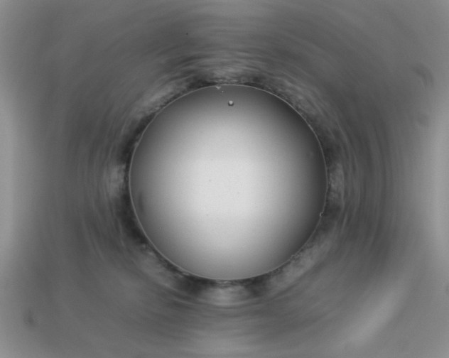 X0000113010278200909101823