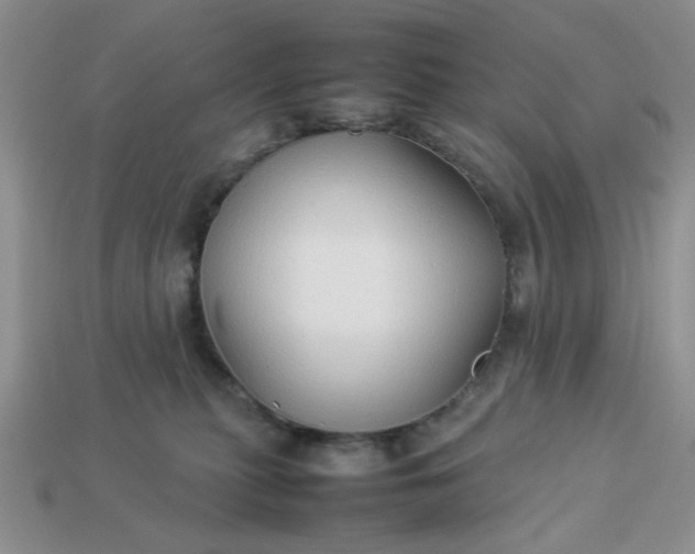 X0000113010279200909101823