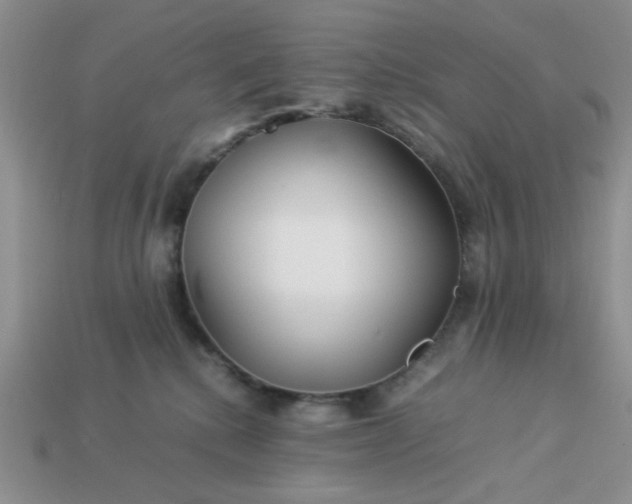 X0000113010280200909101823