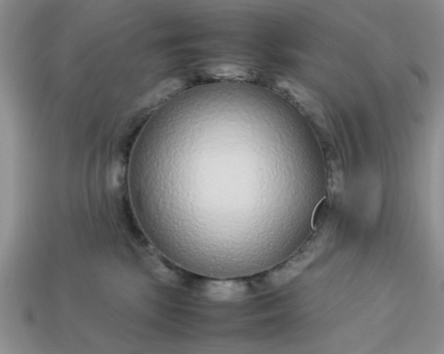 X0000113010281200909101823