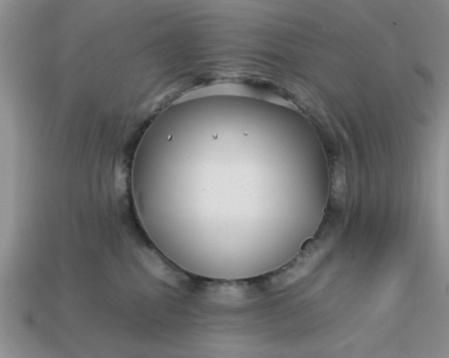 X0000113010282200909101823