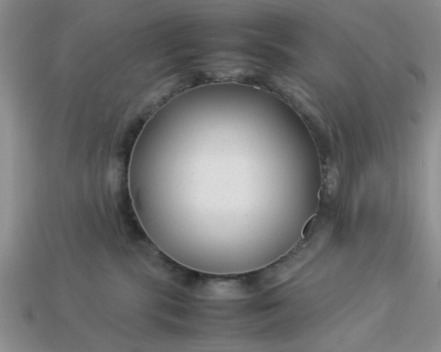 X0000113010283200909101823