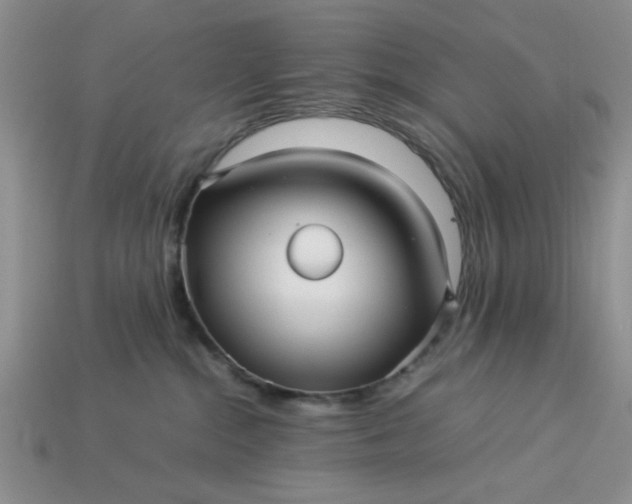 X0000113010284200909101823