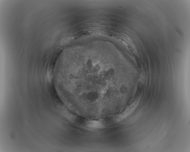 X0000113010285200909101823