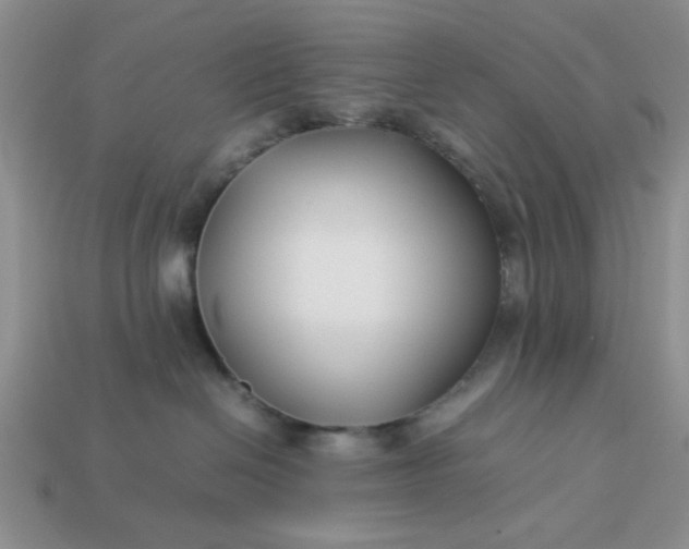 X0000113010286200909101823