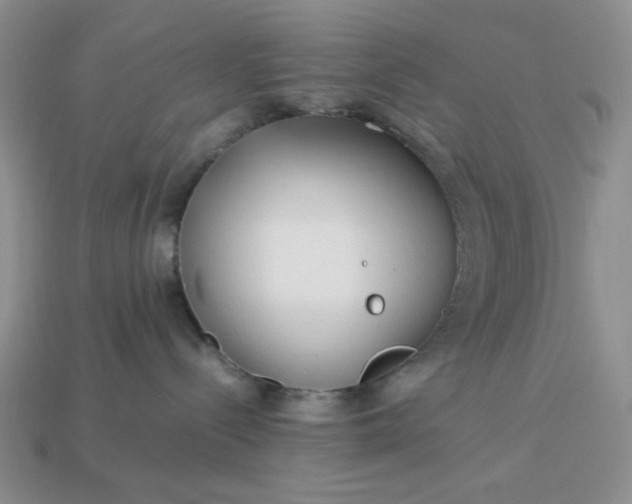 X0000113010288200909101824