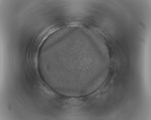 X0000113010290200909101823