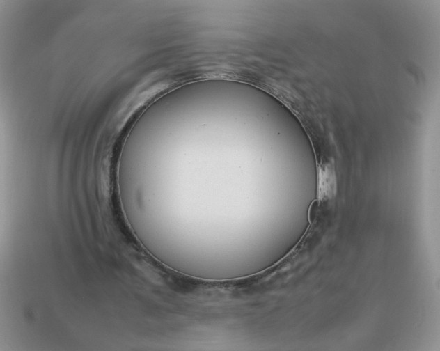 X0000113010291200909101823