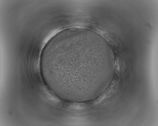 X0000113010292200909101823