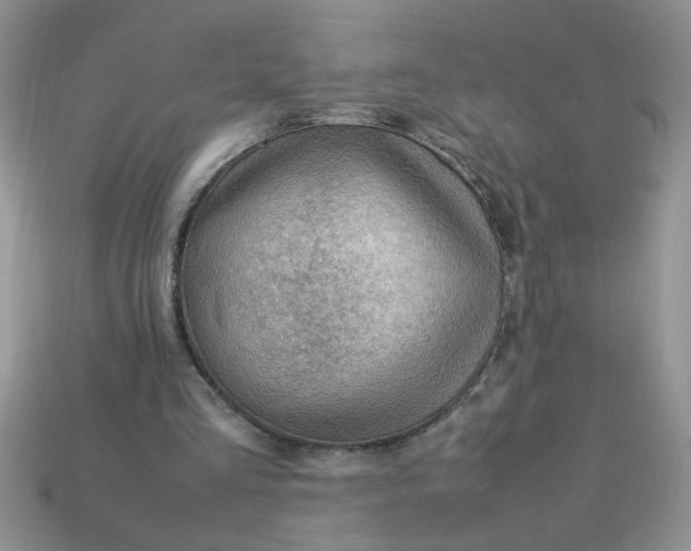 X0000113010293200909101823