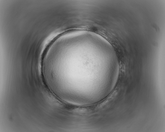 X0000113010294200909101823