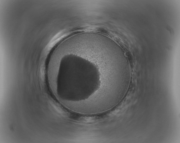 X0000113010295200909101823