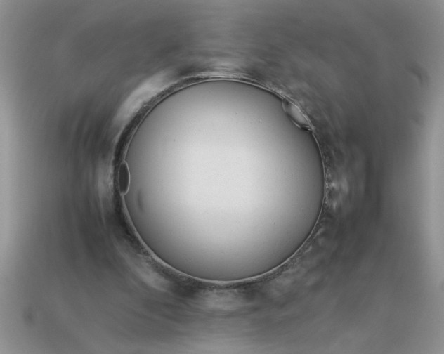 X0000113010296200909101823