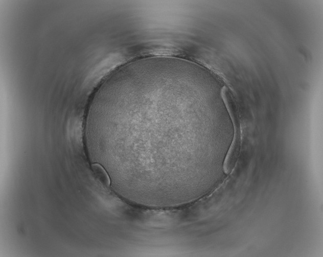 X0000113010297200909101823