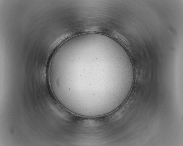 X0000113010298200909101823