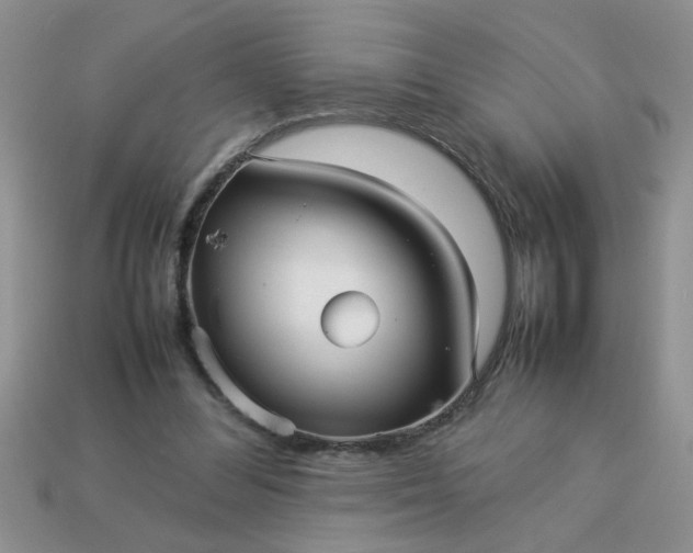 X0000113010300200909101823