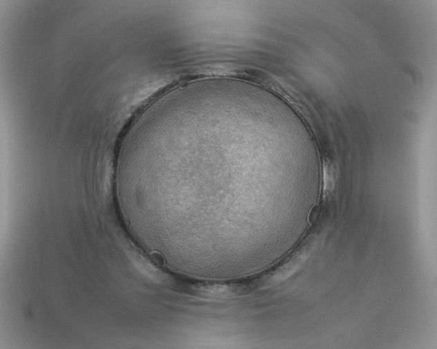 X0000113010301200909101823