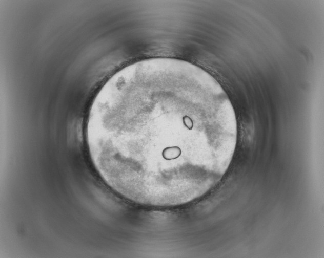 X0000113010302200909101823