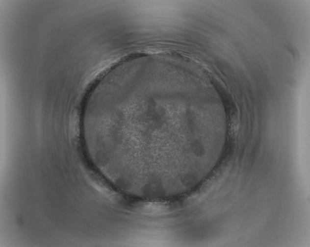 X0000113010303200909101823