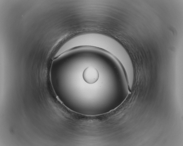 X0000113010304200909101823